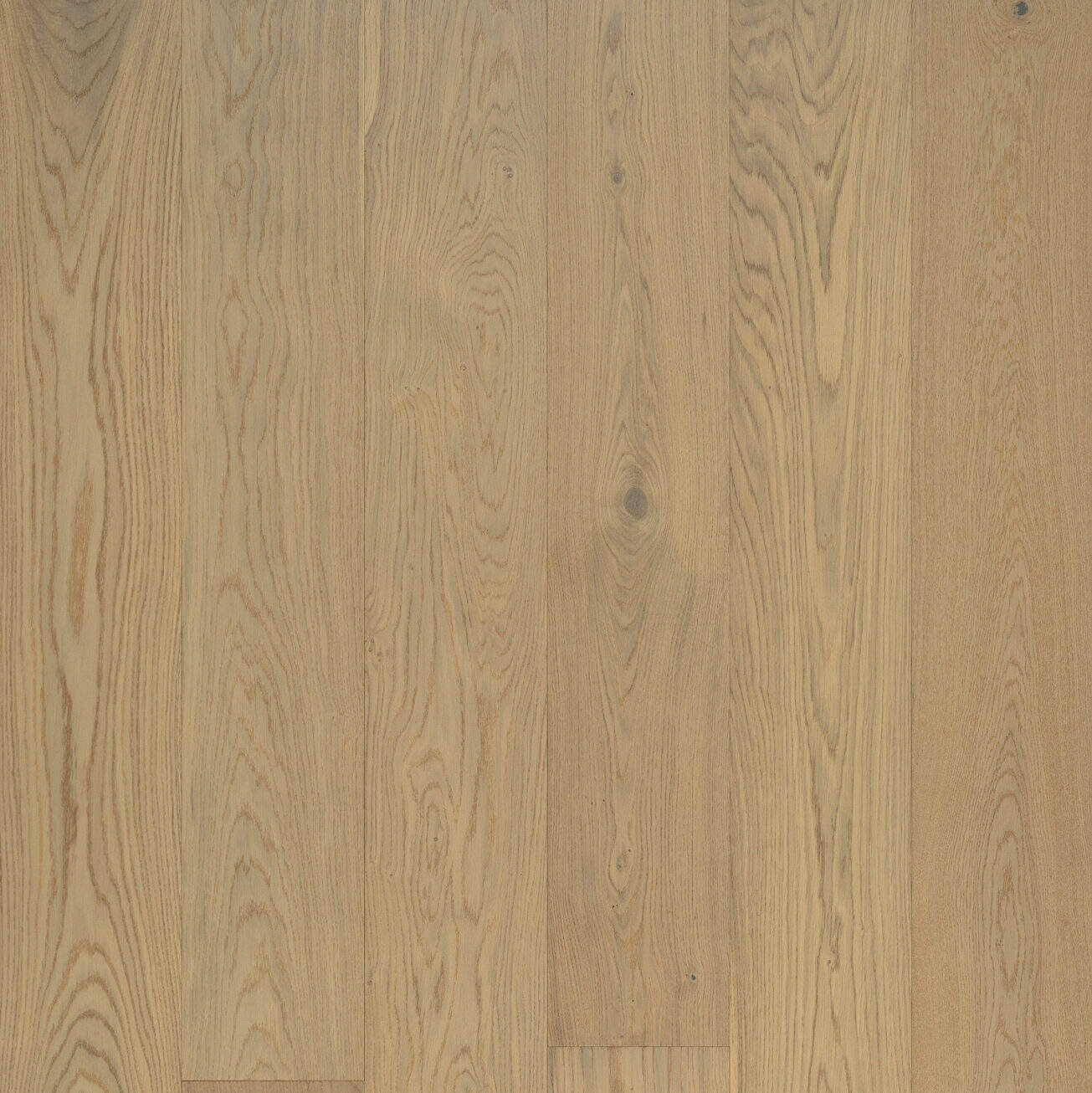 Buy Golden Elite Group Timber SPT Hybrid Flooring Gold Coast - One ...